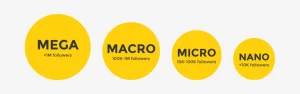 Grafik penjelasan jenis-jenis influencer